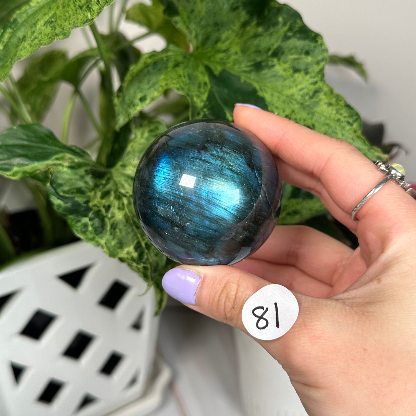 Labradorite sphere 81