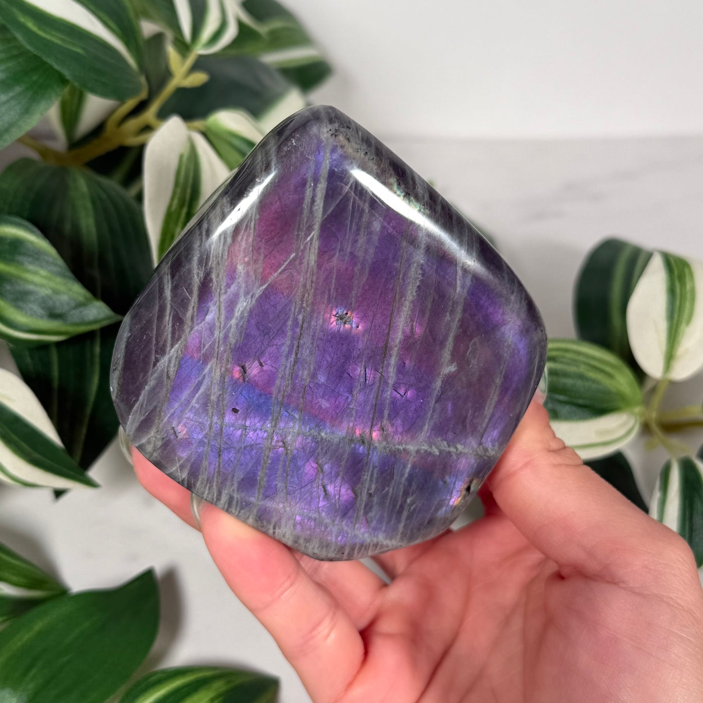 Labradorite freeform 98