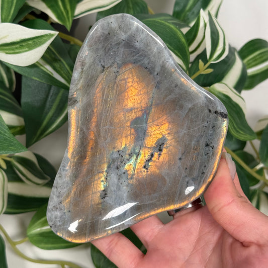 Labradorite bowl 58