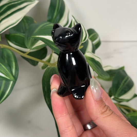 Obsidian cat
