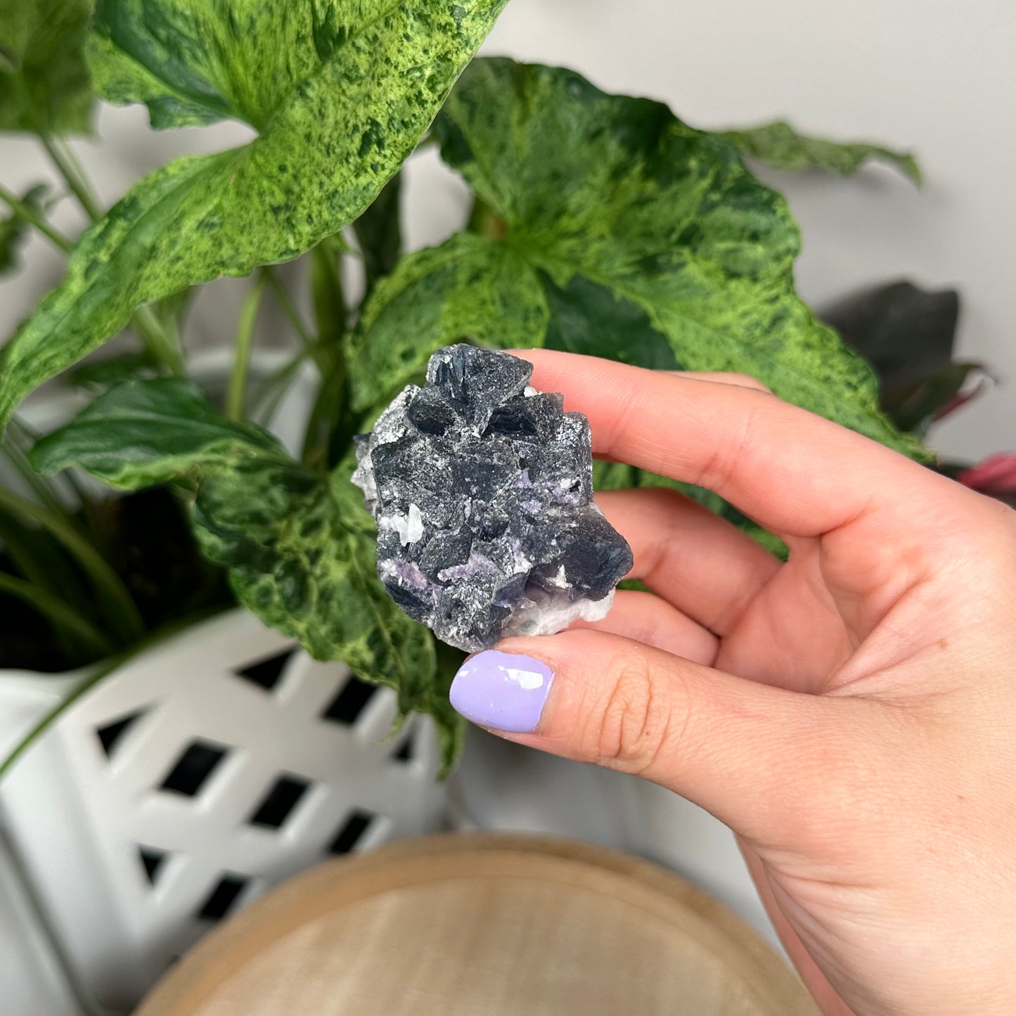 Octahedral fluorite on candle quartz