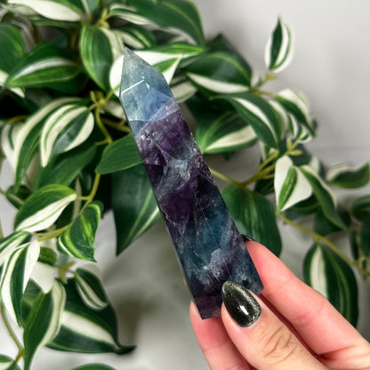 Fluorite towers- pick your own