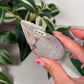 Greenlee agate