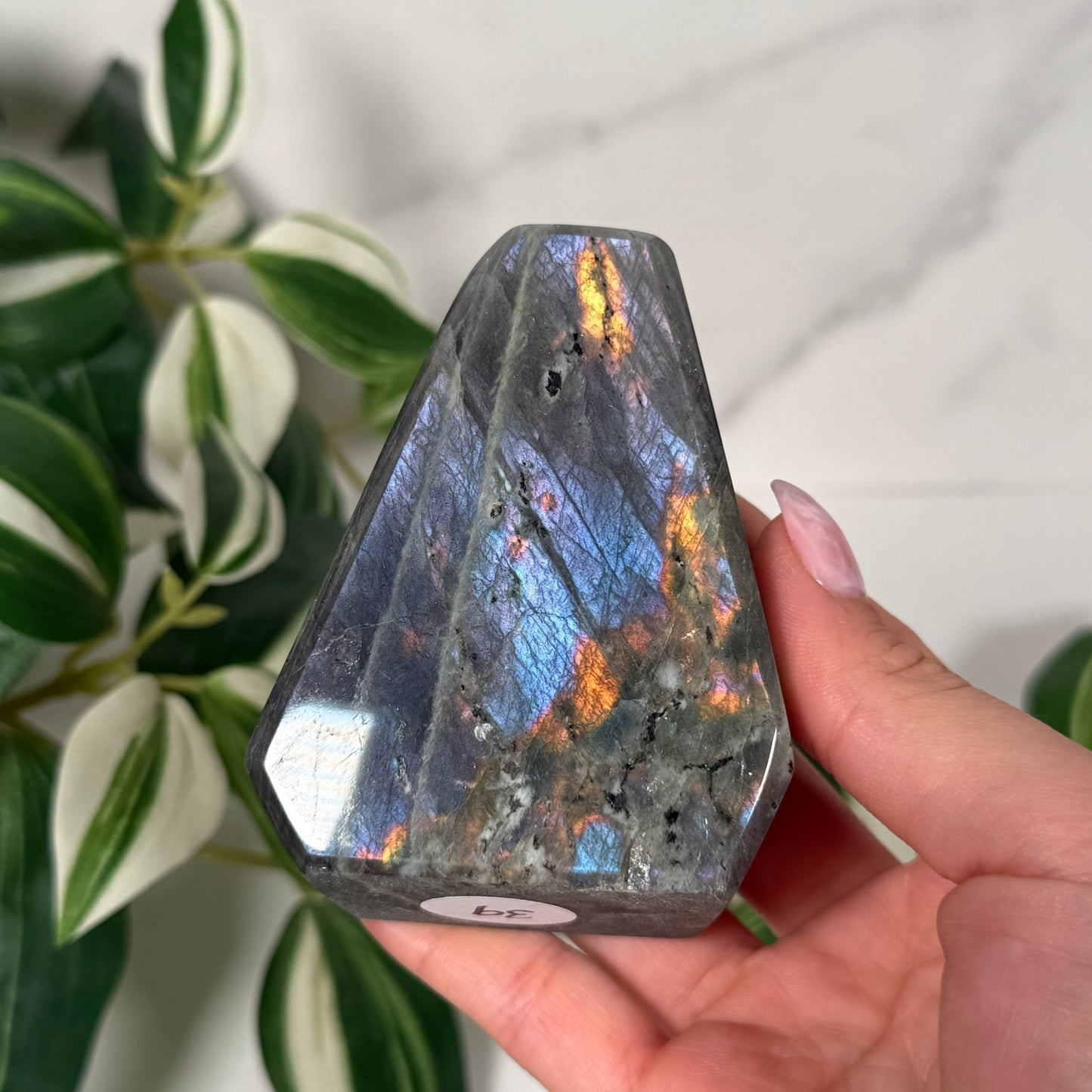 Labradorite freeform 39