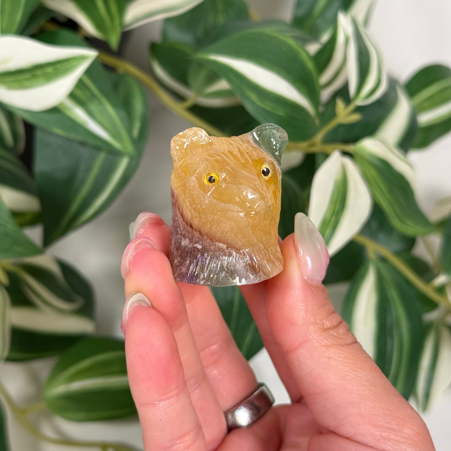 Fluorite bear head *chip on ear