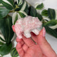 Pink opal bear