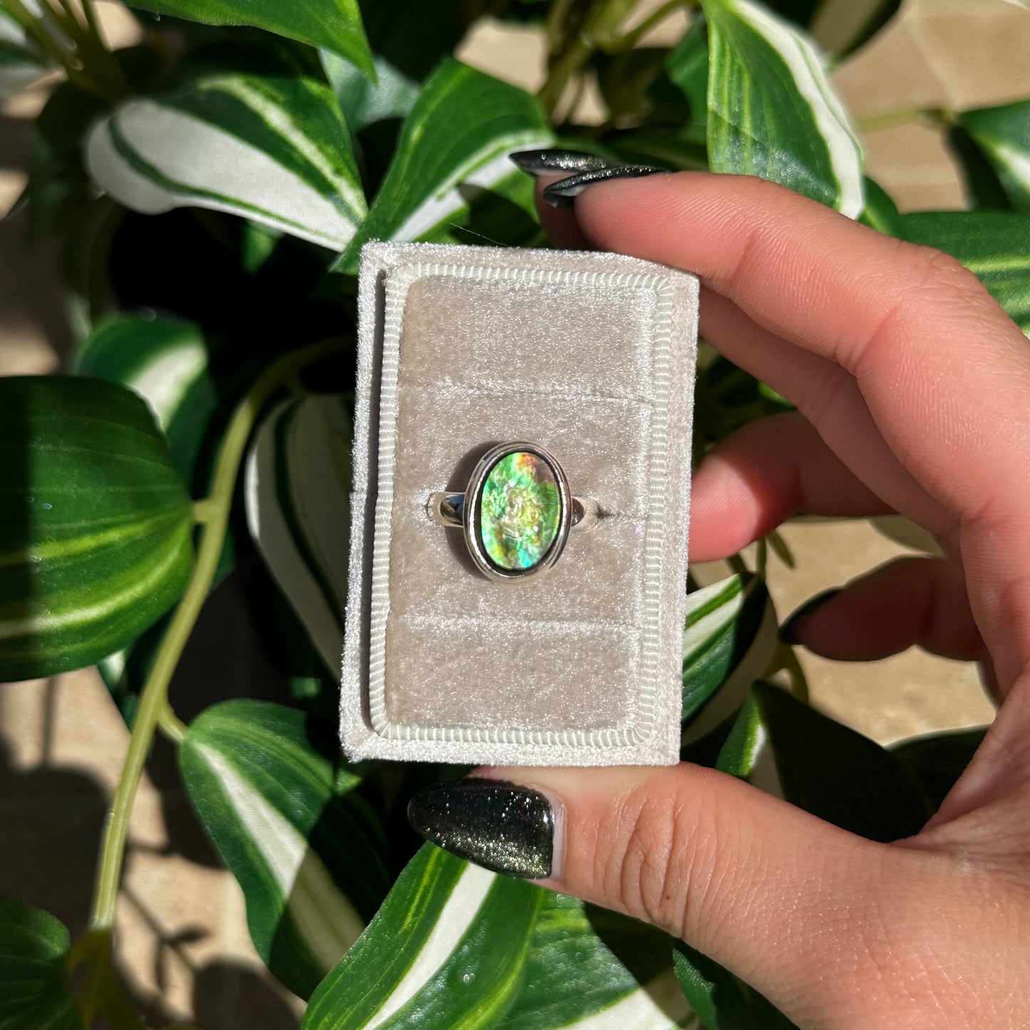 Size 6 ammolite ring