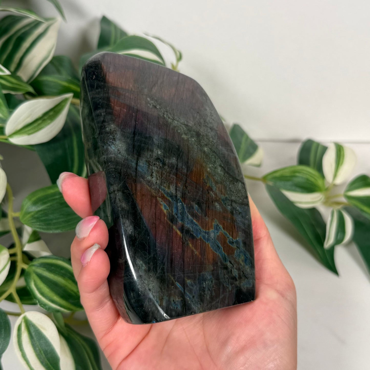 Labradorite freeform 88