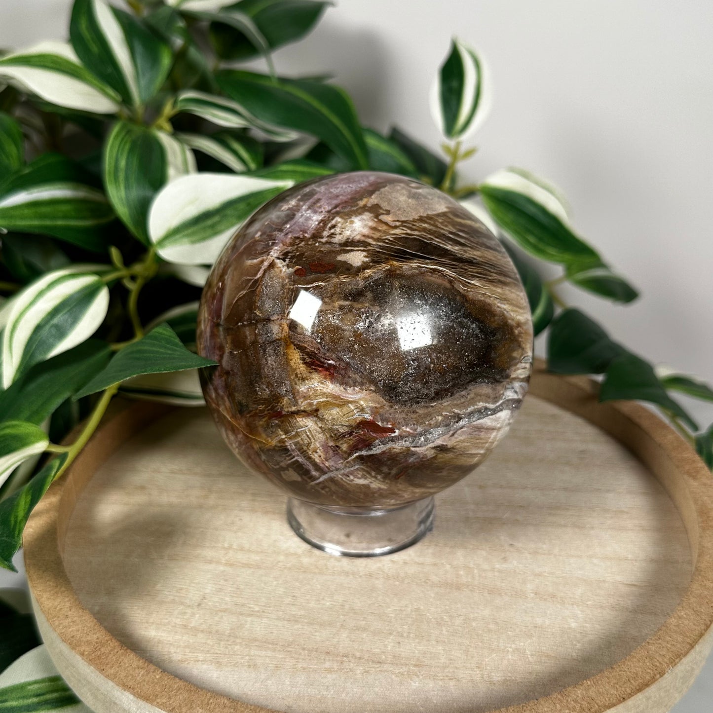 Petrified wood sphere 74