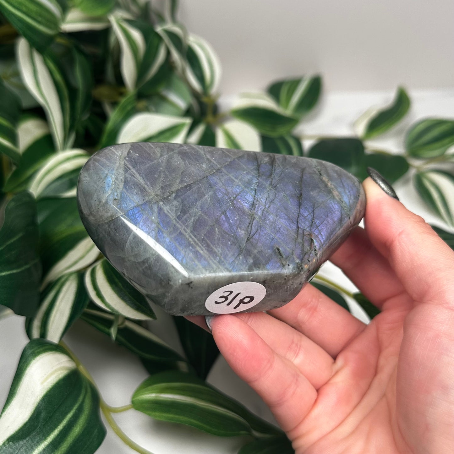 Labradorite freeform 31