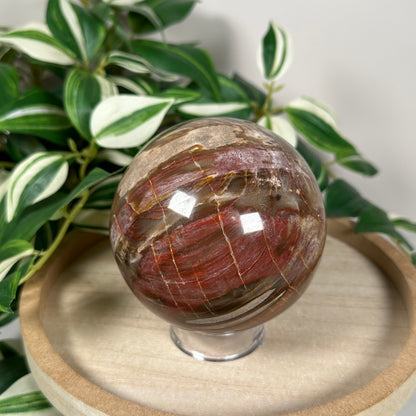 Petrified wood sphere 74