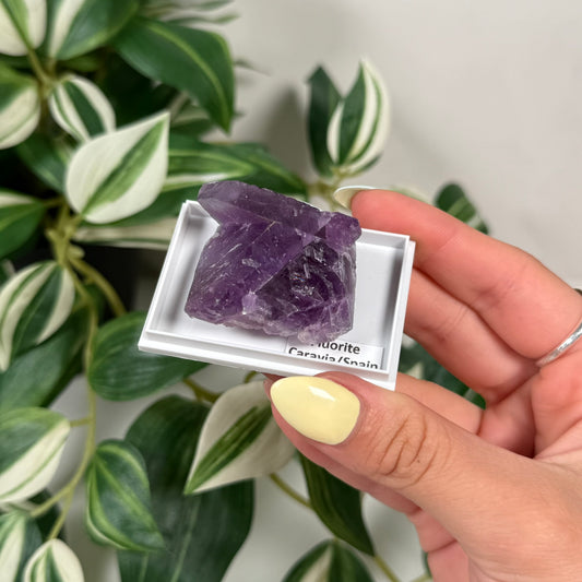 Purple Spanish fluorite