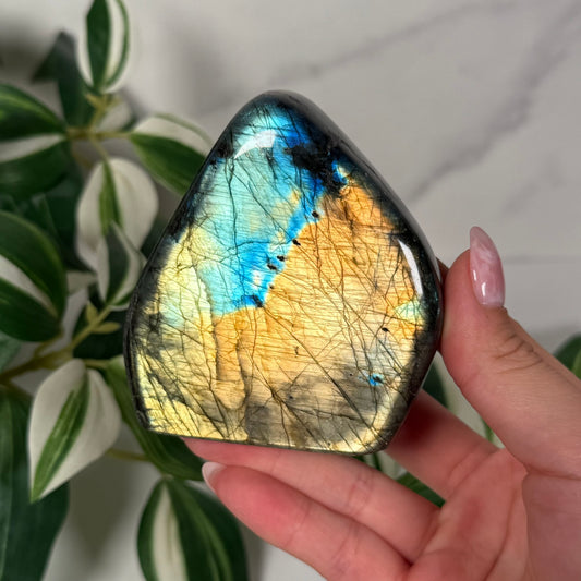 Labradorite freeform 40