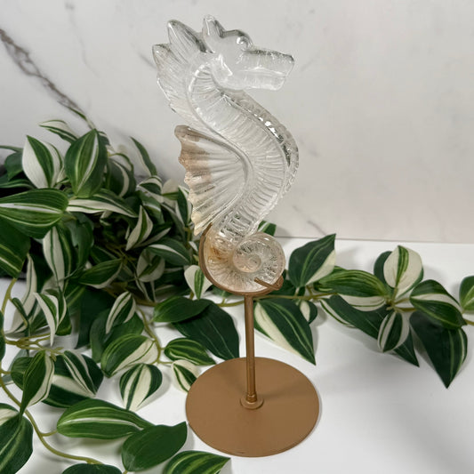 Clear quartz seahorse on stand E