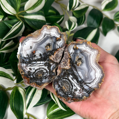 Laguna agate pair