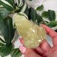 Autralian prehnite frog