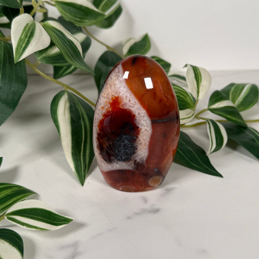Carnelian freeform 36