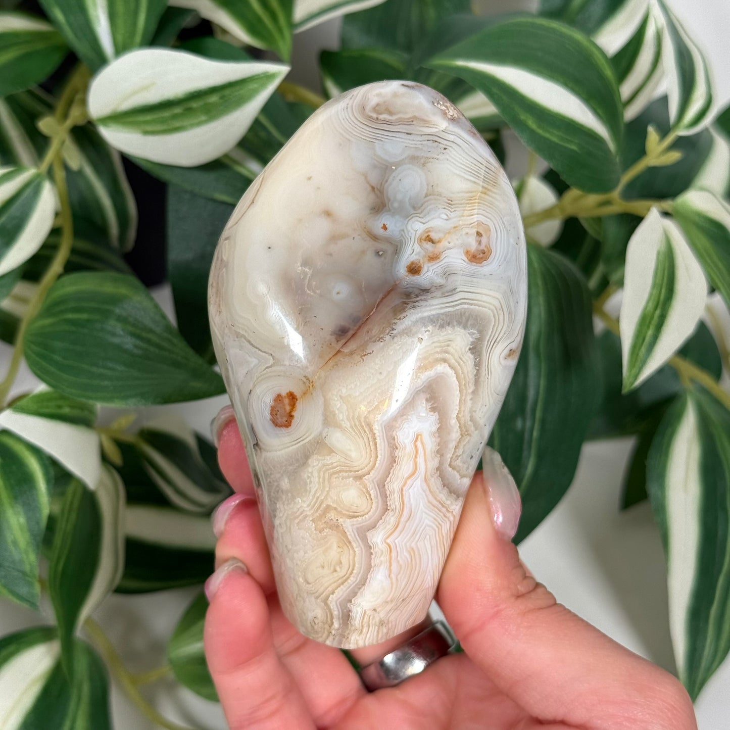 Agate freeform