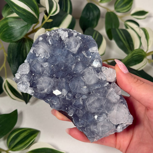 Apophyllite on blue chalcedony 103