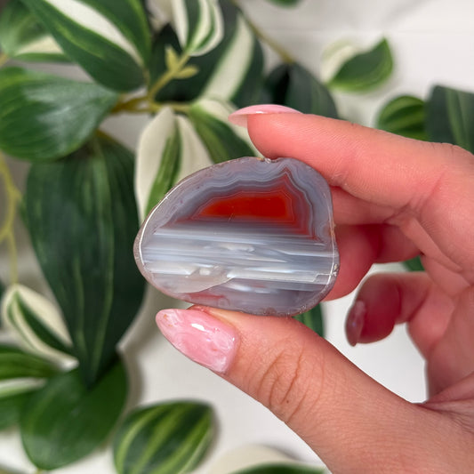 Queensland agate 40