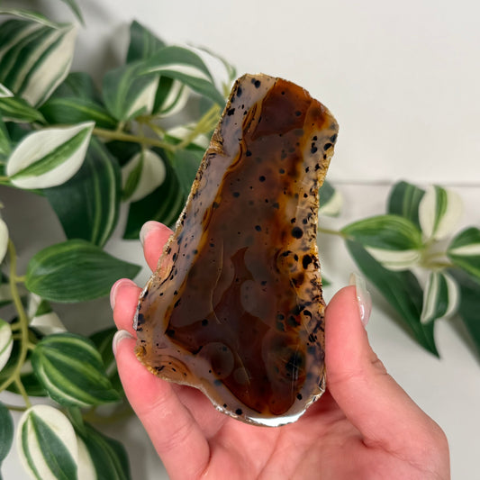 Montana moss agate