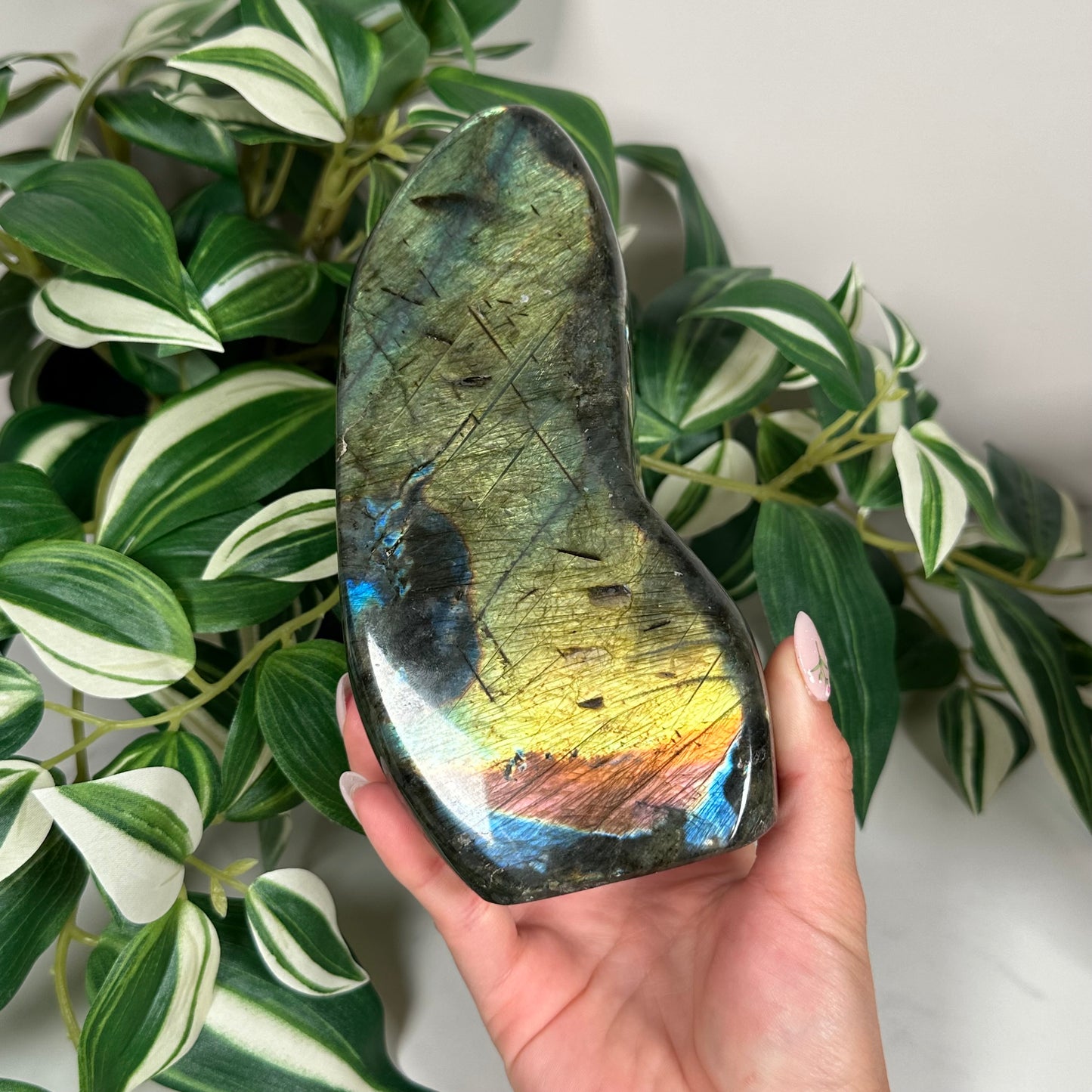 Labradorite freeform 160