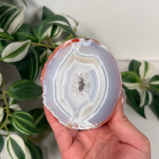 Patagonia agate 211