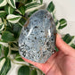 Ocean jasper freeform 52
