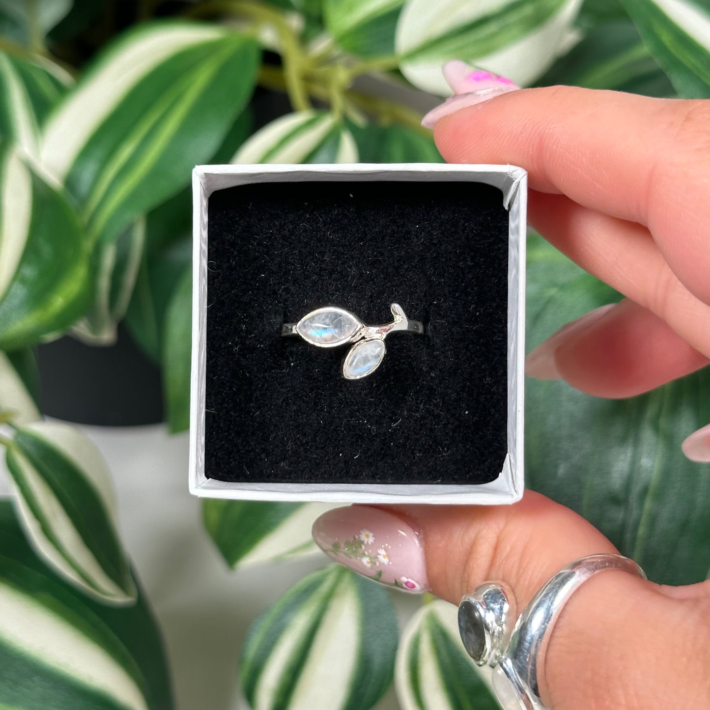 Size 6 moonstone leaf ring