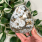 Sea jasper freeform 106