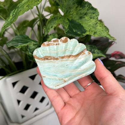 Caribbean calcite shell bowl