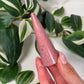 Pink petrified wood ring holder
