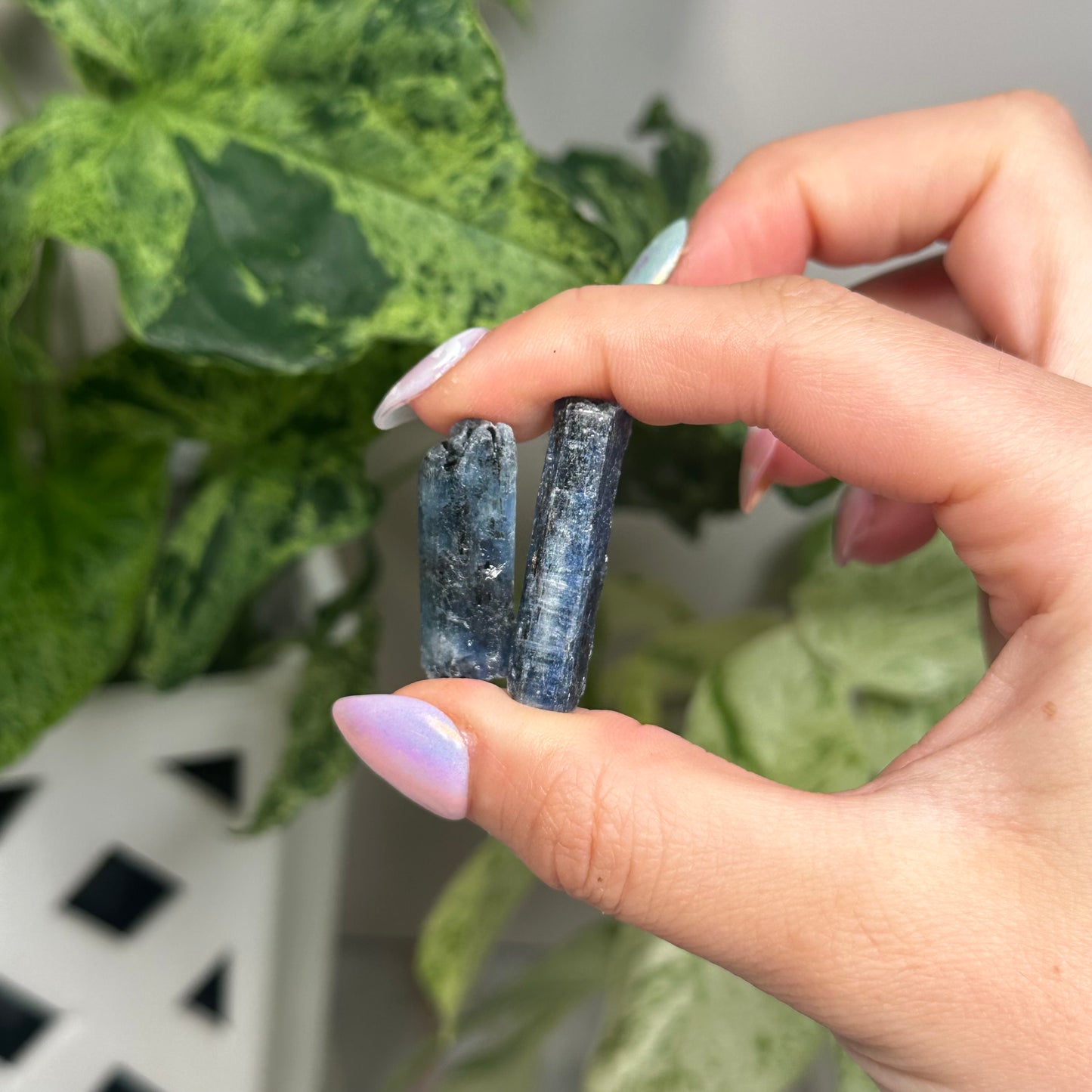 Indigo kyanite blade