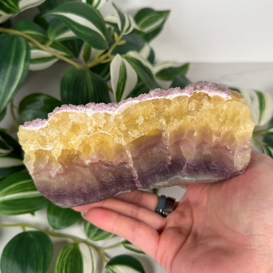 Yellow purple fluorite