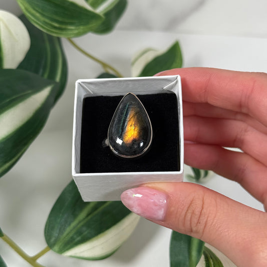Adjustable spectrolite ring