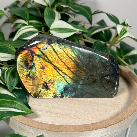 Labradorite freeform 102