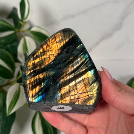 Labradorite freeform 40