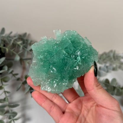 Green halite 215