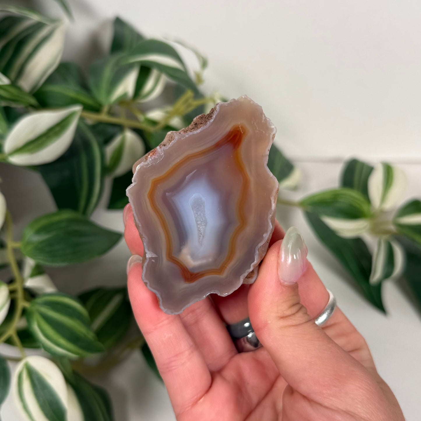 Condor agate 72