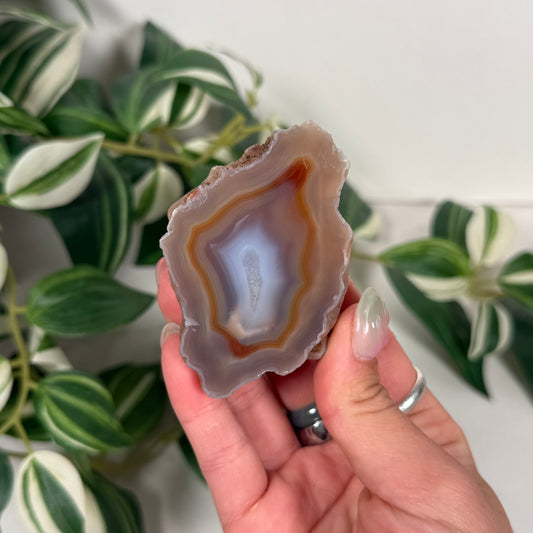 Condor agate 72