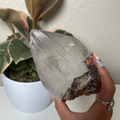 Naica selenite