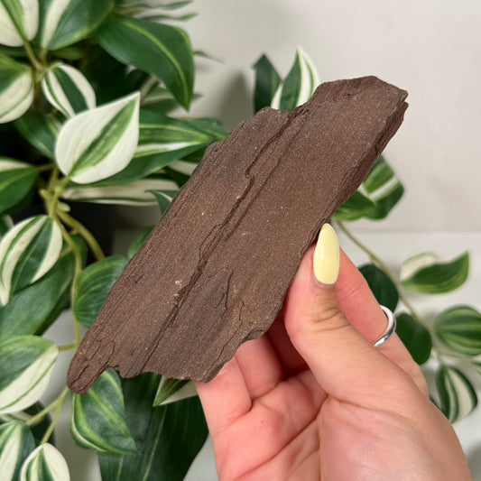 Permineralized wood
