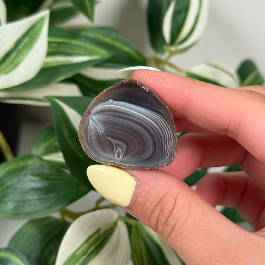Botswana agate 30