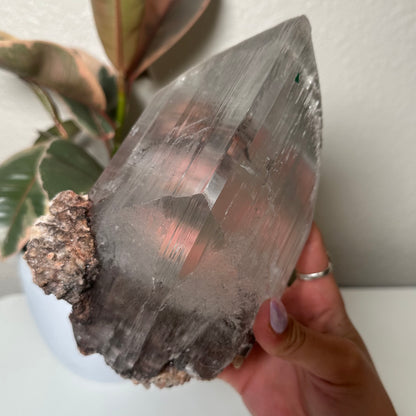 Naica selenite with enhydro