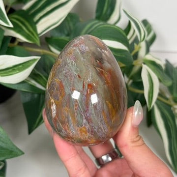 Rainbow petrified wood egg