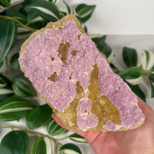 Yellow purple fluorite