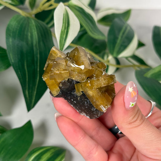 Golden Barite with Fluorite 40b