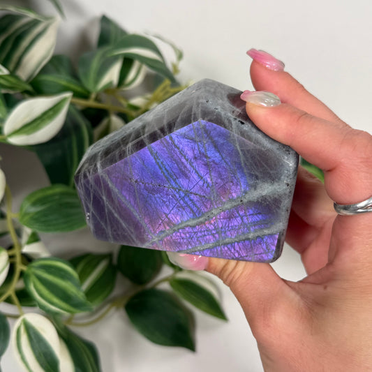Labradorite freeform 43