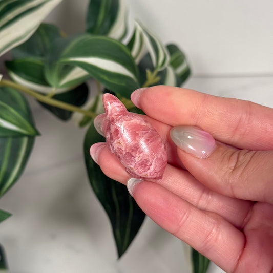 Rhodochrosite turtle