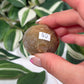 Queensland agate 40c